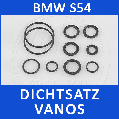 BMW Dichtsatz Vanos S54