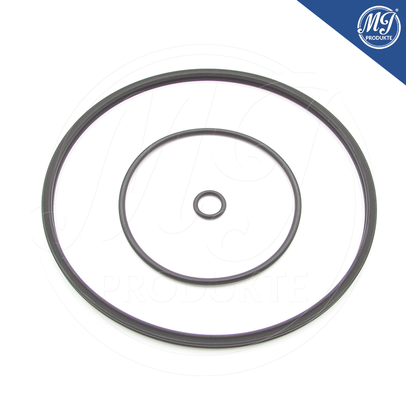 Toyota Lexus 29300-31010 Vacuum pump seal kit