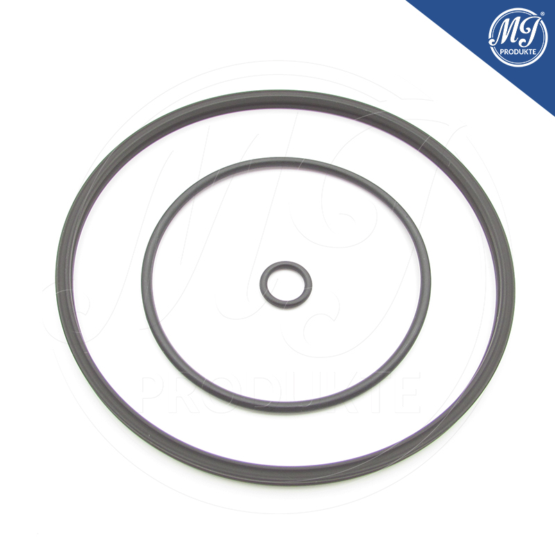 Toyota Lexus 29300-0T010 Vacuum pump seal kit