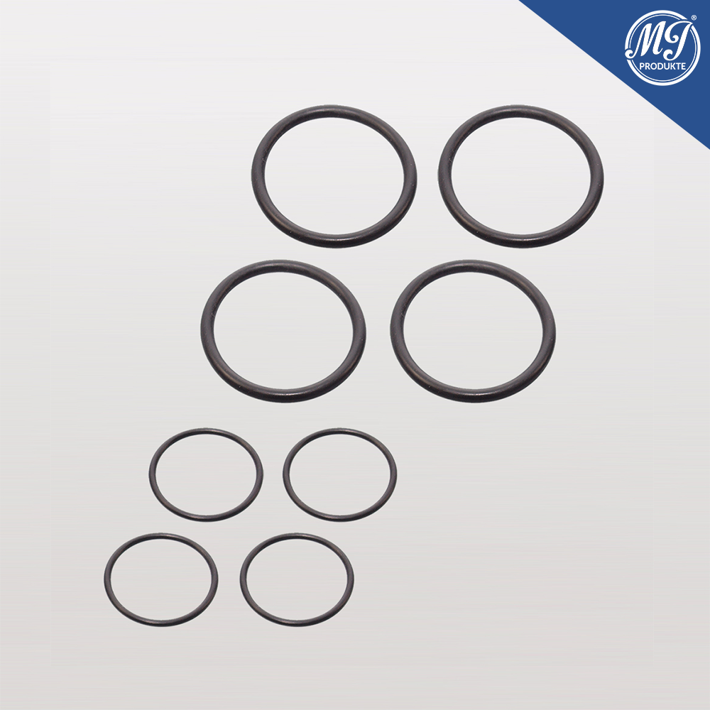 VANOS Magnetventil Dichtsatz für BMW N62 N73 Motoren