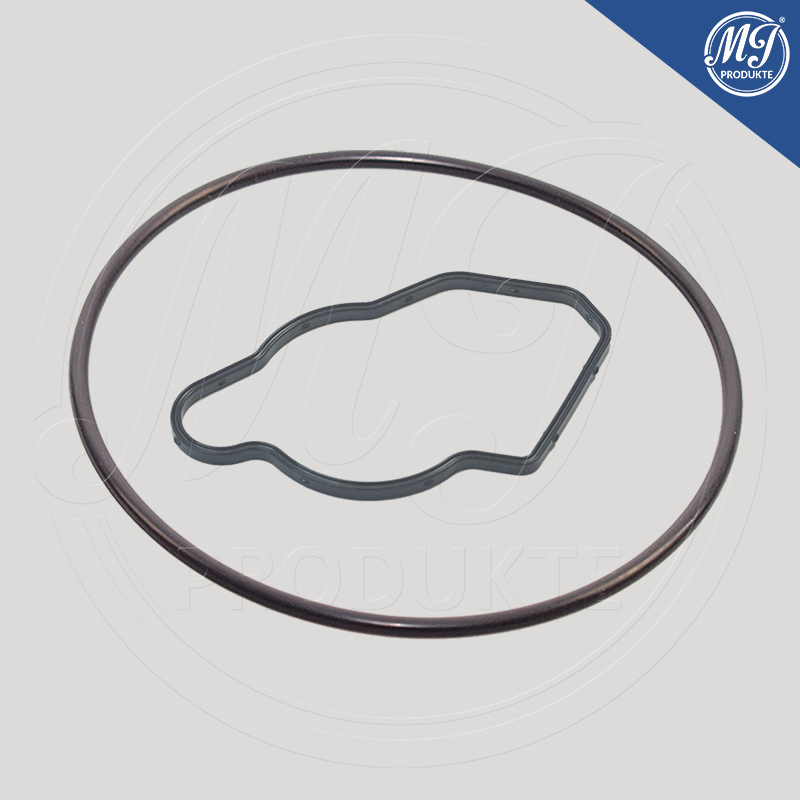 Mercedes A6402300265 Vacuum pump seal kit