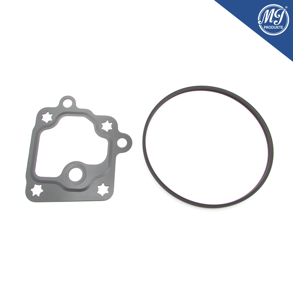 Buick Cadillac Chevrolet GMC 12696313 Vakuumpumpen Dichtsatz