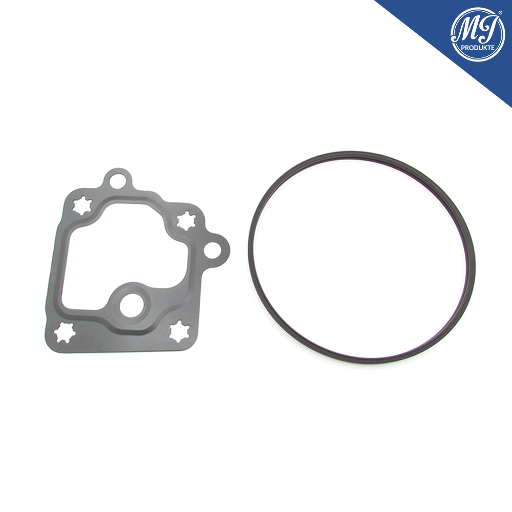 Buick Cadillac Chevrolet GMC 12654013 Vakuumpumpen Dichtsatz