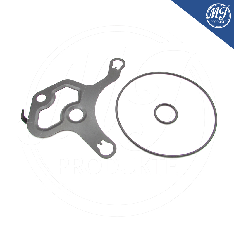 Buick Cadillac Chevrolet GMC 12686657 Vacuum pump seal kit